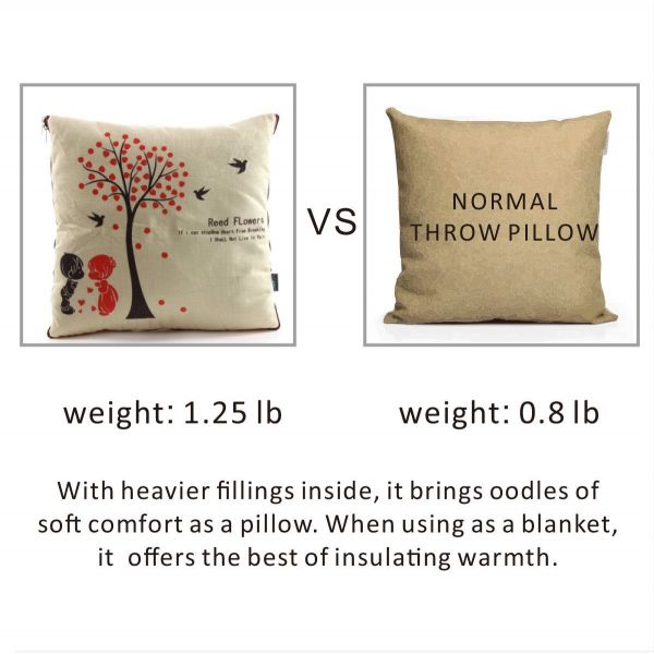Fasisa Throw Pillow for Sofa & Blanket 2 in 1, Textured Decorative Square Pillow Case with Insert 18