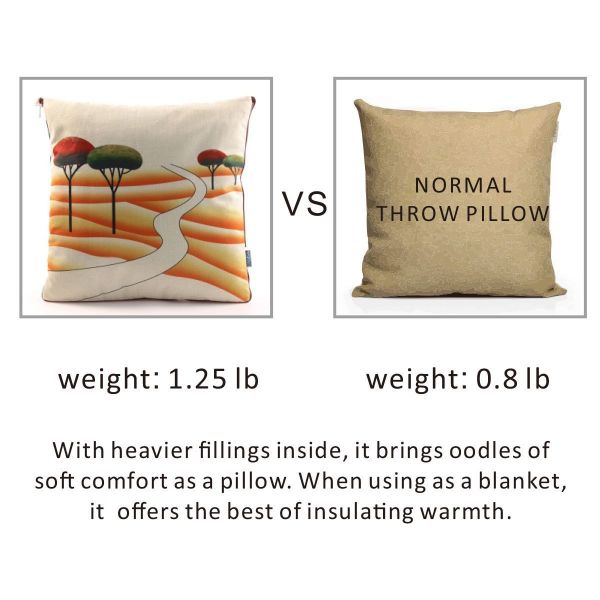 Fasisa Throw Pillow for Sofa & Blanket 2 in 1, Textured Decorative Square Pillow Case with Insert 18