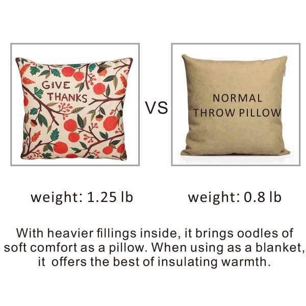 Fasisa Throw Pillow for Sofa & Blanket 2 in 1, Textured Decorative Square Pillow Case with Insert 18