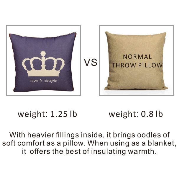 Fasisa Throw Pillow for Sofa & Blanket 2 in 1, Textured Decorative Square Pillow Case with Insert 18
