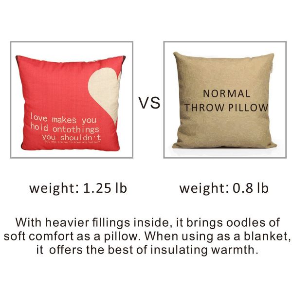 Fasisa Throw Pillow for Sofa & Blanket 2 in 1, Textured Decorative Square Pillow Case with Insert 18