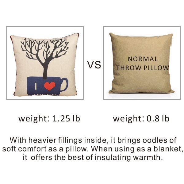 Fasisa Throw Pillow for Sofa & Blanket 2 in 1, Textured Decorative Square Pillow Case with Insert 18