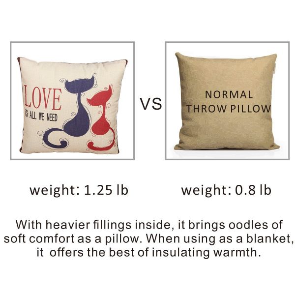 Fasisa Throw Pillow for Sofa & Blanket 2 in 1, Textured Decorative Square Pillow Case with Insert 18