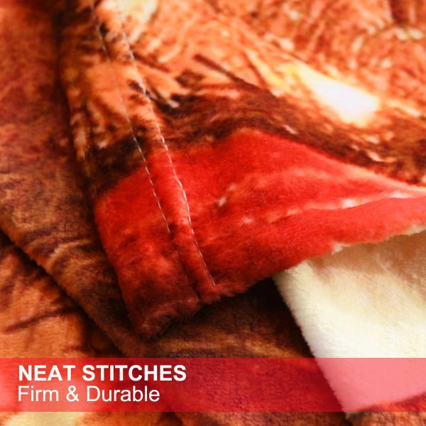 JML Flannel Throw Blanket, Christmas Holiday Printed Throw Blanket - Plush Soft Lightweight Cozy Throw Blanket for Couch Sofa Bed Decor 50 x 60 inches-Christmas Holiday Light